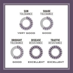 Pennington Annual Ryegrass Sun Or Shade Grass Seed 10 Lb 19 Pennington Annual Ryegrass Sun Or Shade Grass Seed 10 Lb -Roundup Hub 68e4049b a767 4865 a81c 6e4083faf00c