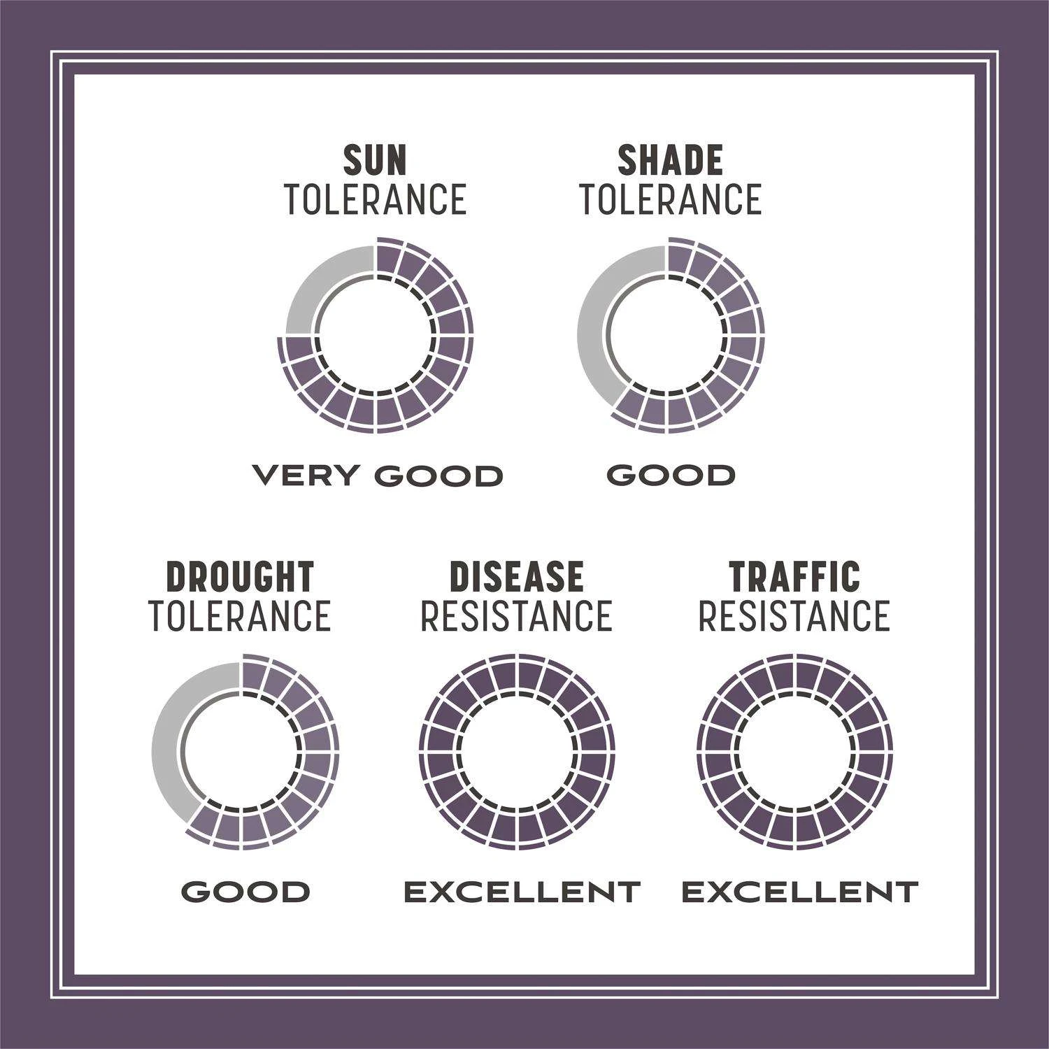 Pennington Annual Ryegrass Sun Or Shade Grass Seed 10 Lb 10 Pennington Annual Ryegrass Sun Or Shade Grass Seed 10 Lb - Image 10