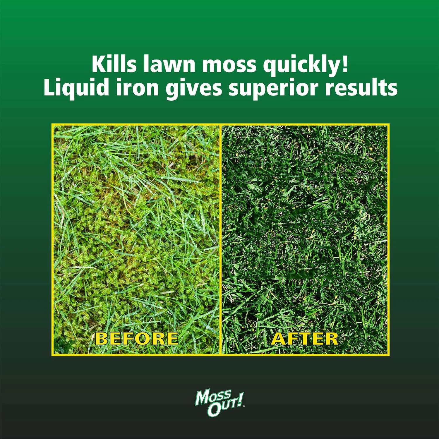 Lilly Miller Moss Out Moss Killer RTU Liquid 1 Gal 4 Lilly Miller Moss Out Moss Killer RTU Liquid 1 Gal - Image 4