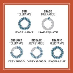 Pennington Smart Seed Texas Bermuda Full Sun Grass Seed And Fertilizer 8.75 Lb 18 Pennington Smart Seed Texas Bermuda Full Sun Grass Seed And Fertilizer 8.75 Lb -Roundup Hub 6b445b86 87ad 4c1e 8b93 70cb7127857f