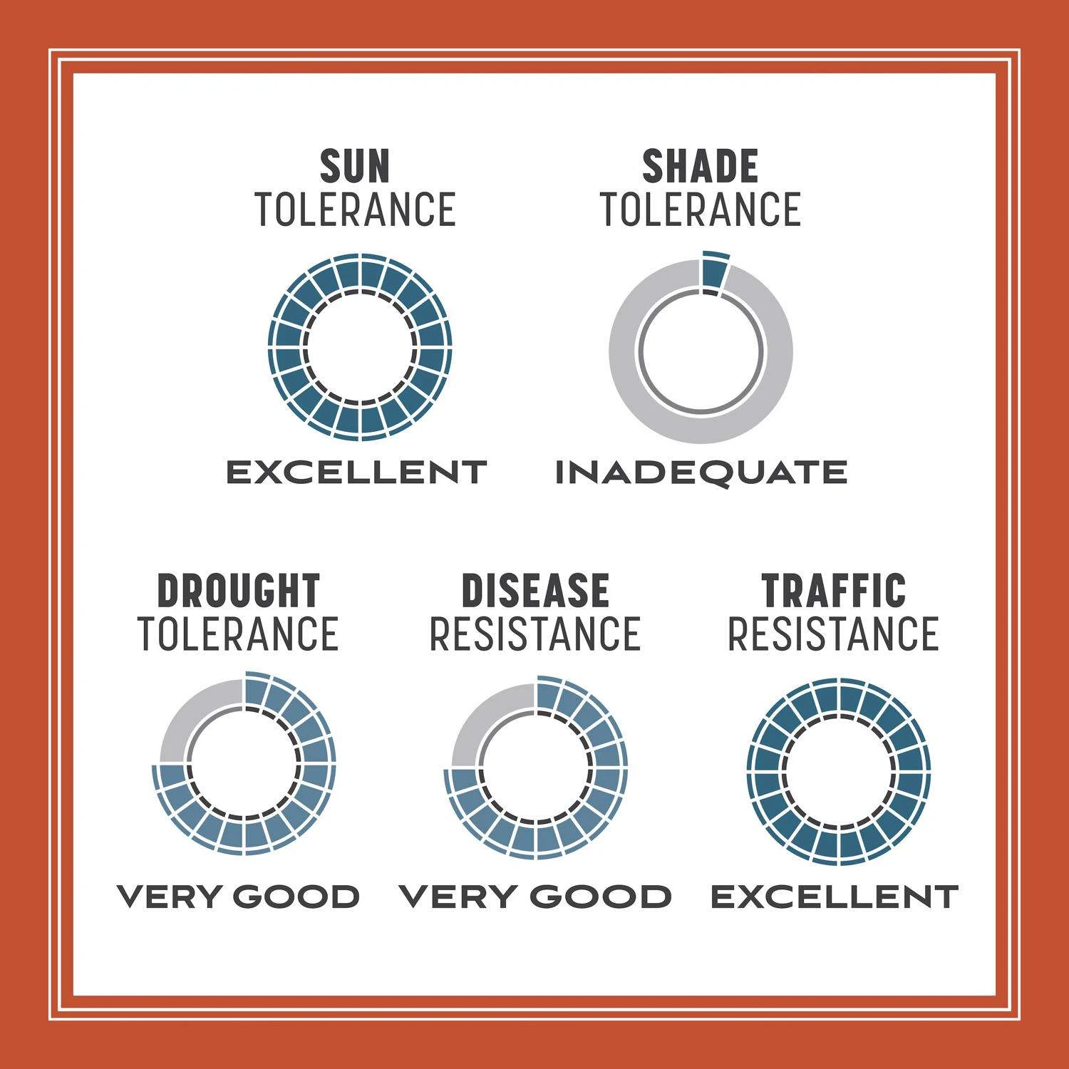 Pennington Smart Seed Texas Bermuda Full Sun Grass Seed And Fertilizer 8.75 Lb 9 Pennington Smart Seed Texas Bermuda Full Sun Grass Seed And Fertilizer 8.75 Lb - Image 9