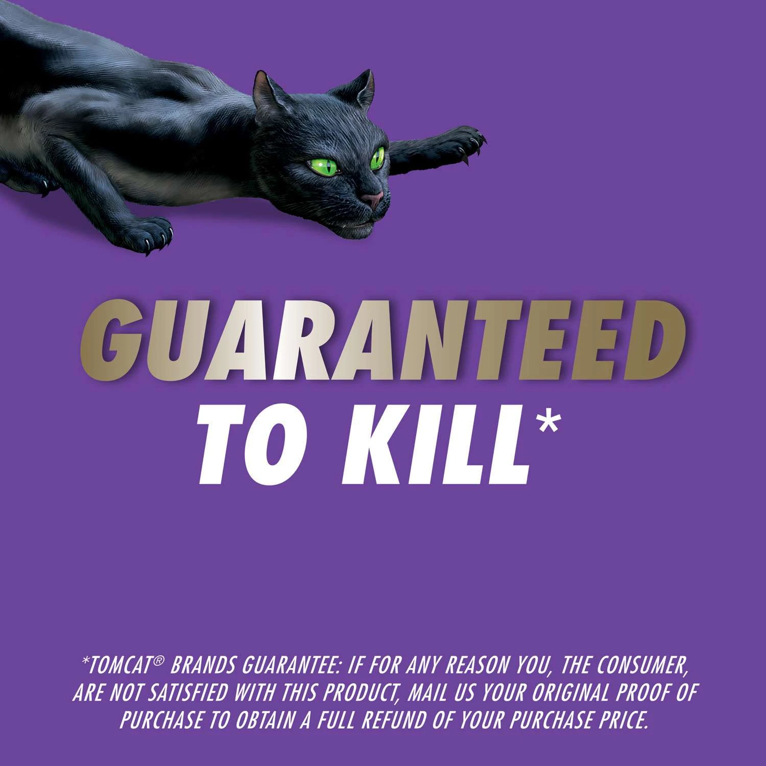 Tomcat Mouse Killer Refillable Bait Station Blocks For Mice 12 Oz 12 Pk 10 Tomcat Mouse Killer Refillable Bait Station Blocks For Mice 12 Oz 12 Pk - Image 10