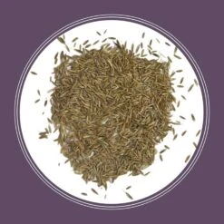 Pennington Annual Ryegrass Full Sun/Light Shade Grass Seed 50 Lb 14 Pennington Annual Ryegrass Full Sun/Light Shade Grass Seed 50 Lb -Roundup Hub 6d7fd65c 6660 4e8e a356 debd2cfd8299