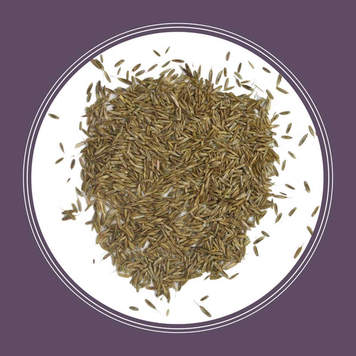 Pennington Annual Ryegrass Full Sun/Light Shade Grass Seed 50 Lb 5 Pennington Annual Ryegrass Full Sun/Light Shade Grass Seed 50 Lb - Image 5