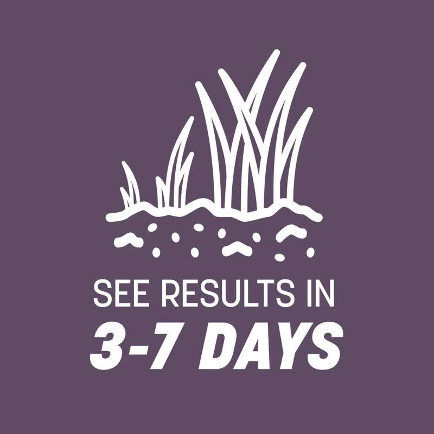 Pennington Annual Ryegrass Full Sun/Light Shade Grass Seed 50 Lb 3 Pennington Annual Ryegrass Full Sun/Light Shade Grass Seed 50 Lb - Image 3