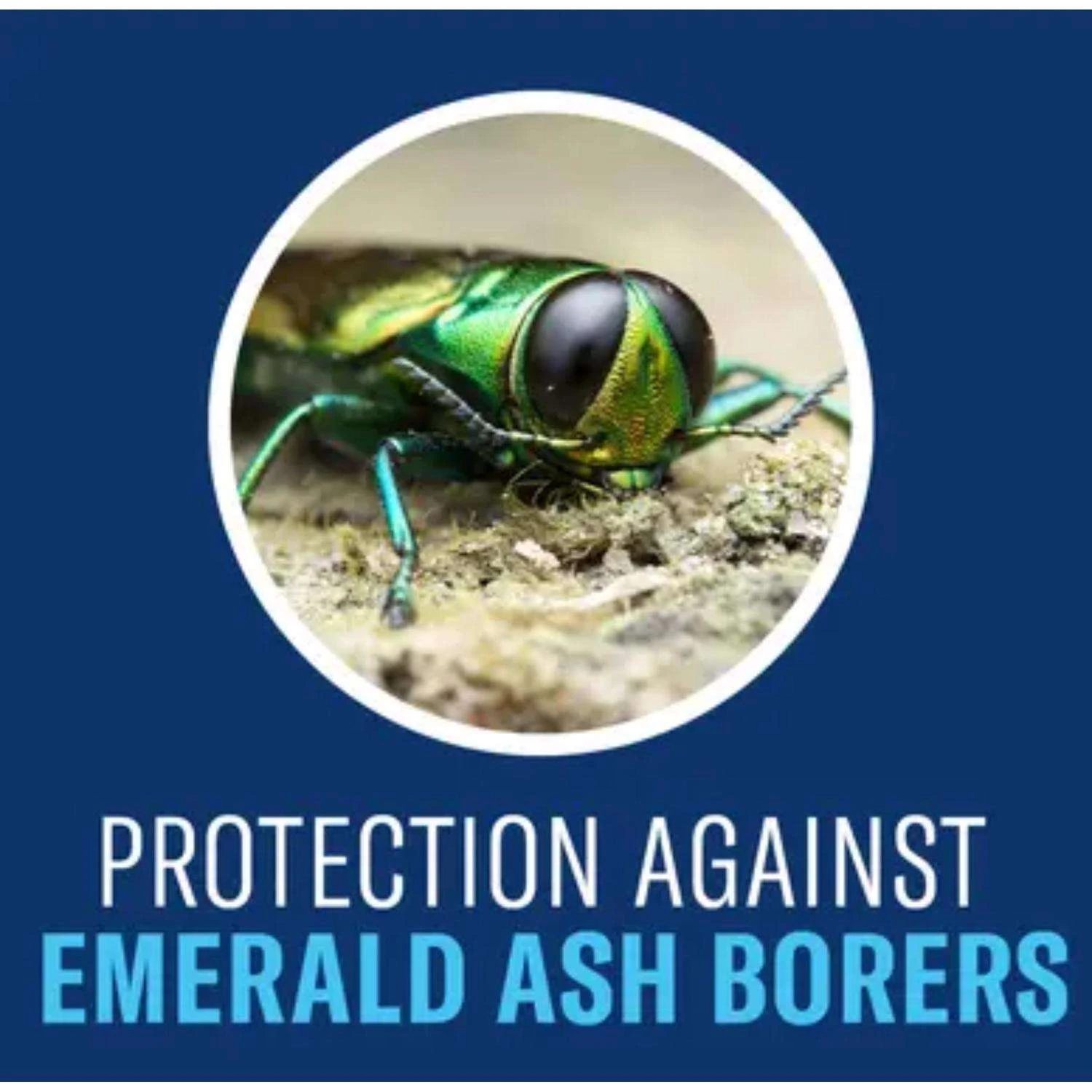 BioAdvanced Insect Killer Liquid Concentrate 1 Gal 3 BioAdvanced Insect Killer Liquid Concentrate 1 Gal - Image 3