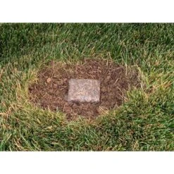 Ace Rapid Repair Pod All Grasses Full Sun Fertilizer/Mulch/Seed 15 Pk -Roundup Hub 7009b209 d802 492c bb85 ff3537c06eac