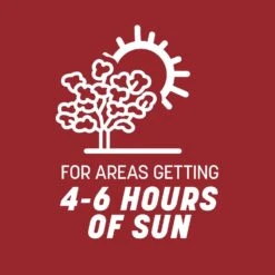 Pennington Smart Seed Perennial Ryegrass Sun Or Shade Grass Seed And Fertilizer 3 Lb 17 Pennington Smart Seed Perennial Ryegrass Sun Or Shade Grass Seed And Fertilizer 3 Lb -Roundup Hub 701cba78 55ab 4e63 b85f 816ca973bff2