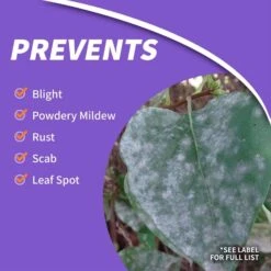 Bonide Infuse Concentrated Liquid Disease Control 16 Oz 10 Bonide Infuse Concentrated Liquid Disease Control 16 Oz -Roundup Hub 72e22a14 d0f4 4463 bac7 adbfc121dd69