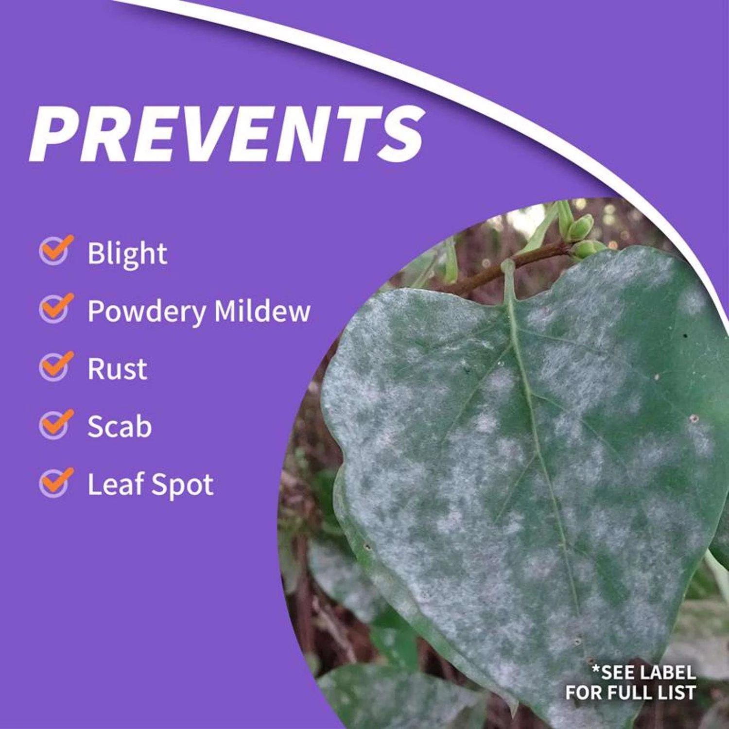 Bonide Infuse Concentrated Liquid Disease Control 16 Oz 4 Bonide Infuse Concentrated Liquid Disease Control 16 Oz - Image 4