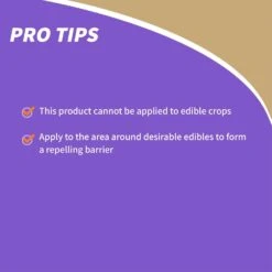 Bonide Animal Repellent Liquid For Chipmunks And Squirrels 32 Oz -Roundup Hub 72f20583 74d7 4a17 879b b78d6f2604a6