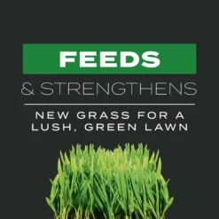 Scotts Turf Builder Pre Emergent Preventer & Fertilizer Lawn Fertilizer For All Grasses 1000 Sq Ft -Roundup Hub 74490793 017b 4823 a72a 14219c29422c