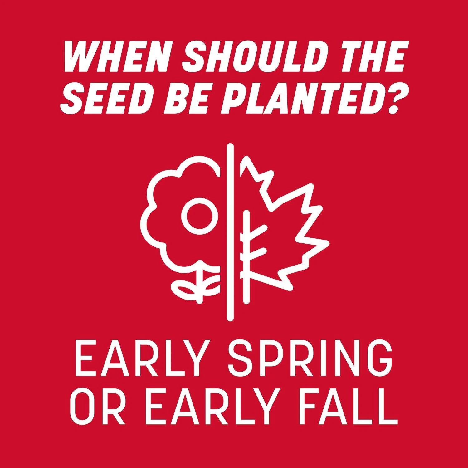 Pennington The Rebels Tall Fescue Grass Sun Or Shade Grass Seed 7 Lb 8 Pennington The Rebels Tall Fescue Grass Sun Or Shade Grass Seed 7 Lb - Image 8