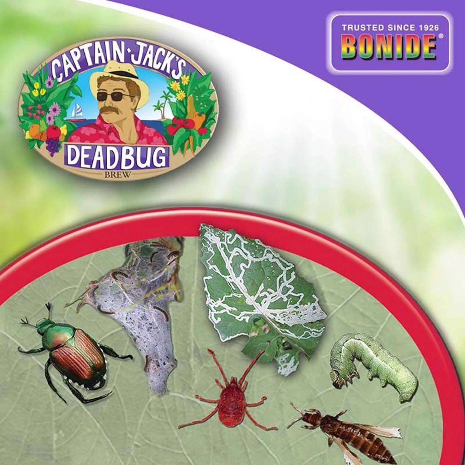 Bonide Captain Jacks Deadbug Brew Organic Insect Killer Dust 4 Lb 7 Bonide Captain Jacks Deadbug Brew Organic Insect Killer Dust 4 Lb - Image 7