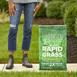 Scotts Turf Builder Rapid Grass Tall Fescue Grass Sun Or Shade Grass Seed And Fertilizer 16 Lb -Roundup Hub 764d9dc9 ca24 409e 965d c5d51bf566de