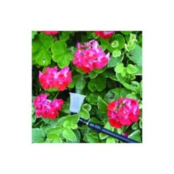 Solo 0.5 Gal Hand Held Pump Sprayer -Roundup Hub 765c4efb d74f 4524 823c f488d0ff0ca0