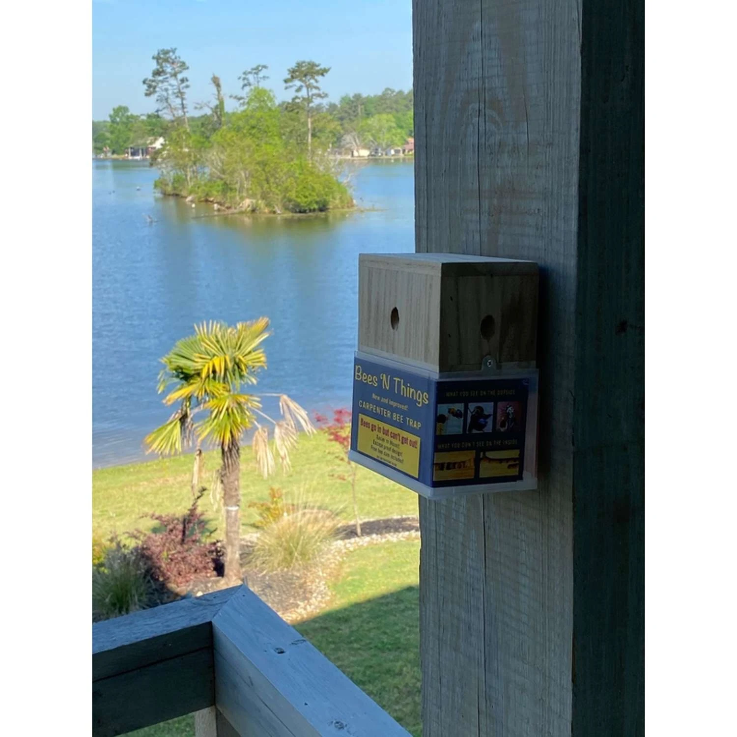 Bees N Things Carpenter Bee Trap 1 Bees N Things Carpenter Bee Trap