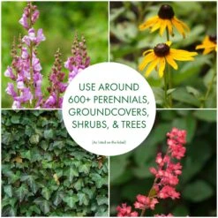 Preen Weed Preventer Granules 10 Lb -Roundup Hub 7980178c c512 49a2 b931 1326436cd940