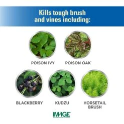 Lilly Miller Image Brush And Vine Killer Concentrate 1 Qt 8 Lilly Miller Image Brush And Vine Killer Concentrate 1 Qt -Roundup Hub 7e2cf6c5 7d43 4aa0 8914 256ca29021ac