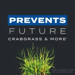 Scotts Turf Builder Triple Action Weed & Feed Lawn Fertilizer For Multiple Grass Types 12000 Sq Ft -Roundup Hub 7f0a59b0 39b3 4e49 af57 b8686ef3324b