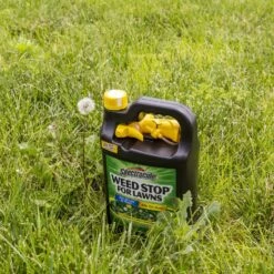 Spectracide Weed Stop Weed Killer RTU Liquid 1 Gal -Roundup Hub 7f64103b 0df7 4858 b3fa 0897f0b71c98