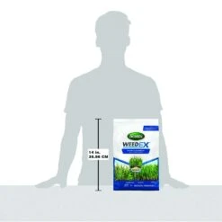 Scotts WeedEx Prevent With Halts Weed Preventer Granules 10 Lb -Roundup Hub 7fbf8d6b 0524 468e 95bd a1004506cef0