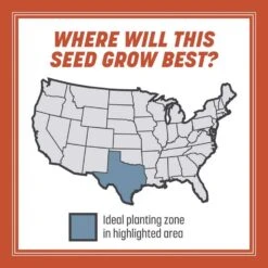 Pennington Smart Seed Texas Bermuda Full Sun Grass Seed And Fertilizer 1.75 Lb -Roundup Hub 80199228 10fb 486c b6c1 5d6ce71e3751