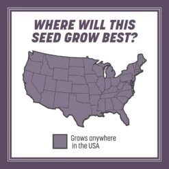 Pennington Annual Ryegrass Sun Or Shade Grass Seed 10 Lb 14 Pennington Annual Ryegrass Sun Or Shade Grass Seed 10 Lb -Roundup Hub 81771a5b 4e1f 4323 be61 cf8a03c4d93e