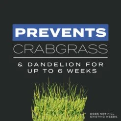 Scotts Turf Builder Pre Emergent Preventer & Fertilizer Lawn Fertilizer For All Grasses 1000 Sq Ft -Roundup Hub 8395a886 7aea 42d0 9b17 7548f0cf280a