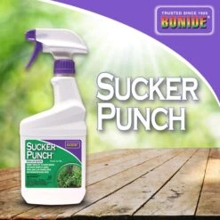 Bonide Sucker Punch Tree Roots Killer RTU Liquid 16 Oz 8 Bonide Sucker Punch Tree Roots Killer RTU Liquid 16 Oz -Roundup Hub 84f5b283 0e62 47bf ad2a f4b6657f408f