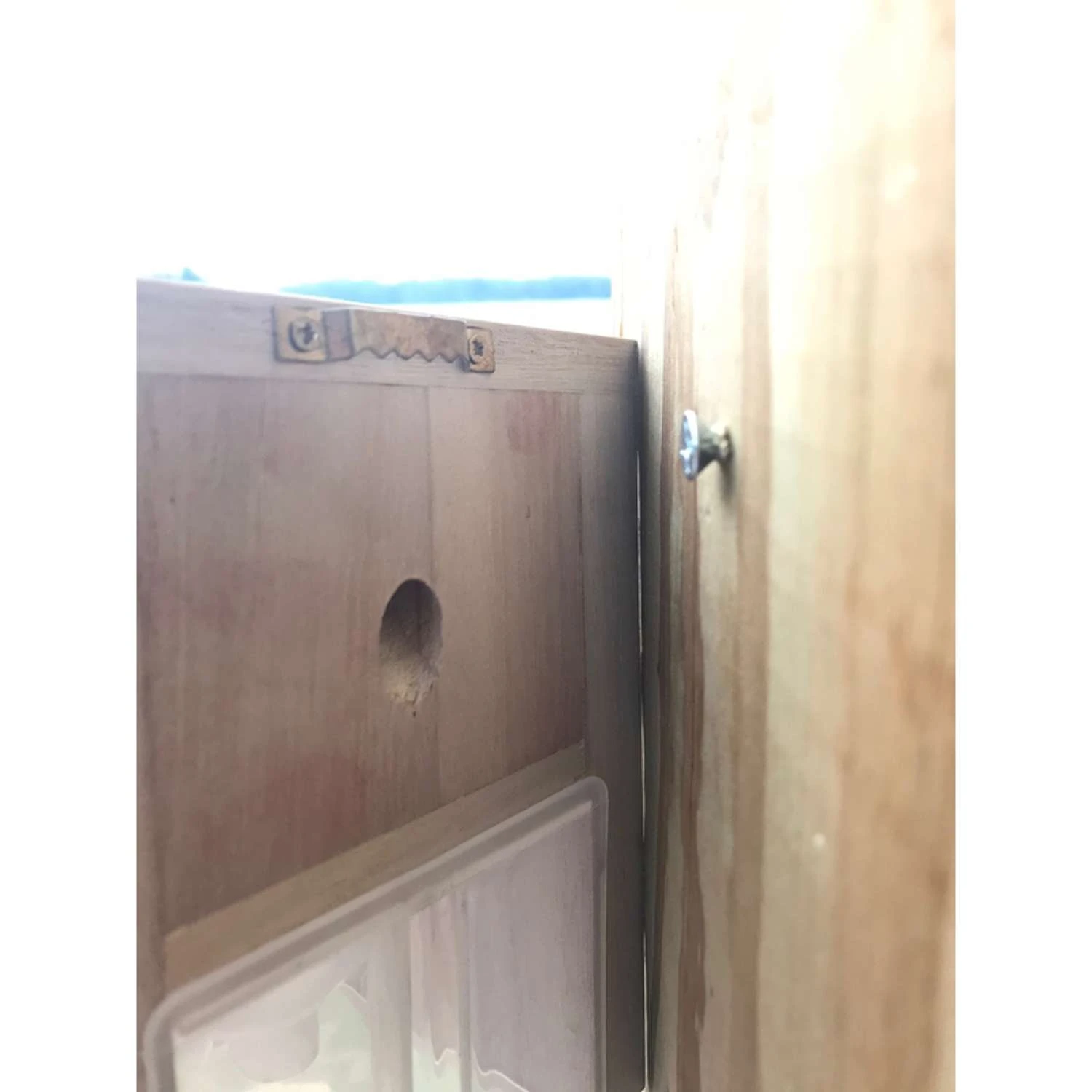 Bees N Things Carpenter Bee Trap 2 Bees N Things Carpenter Bee Trap - Image 2