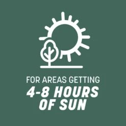 Pennington Kentucky 31 Tall Fescue Grass Sun Or Shade Grass Seed 40 Lb -Roundup Hub 871f212c b7a9 402c 86aa da47328d210f