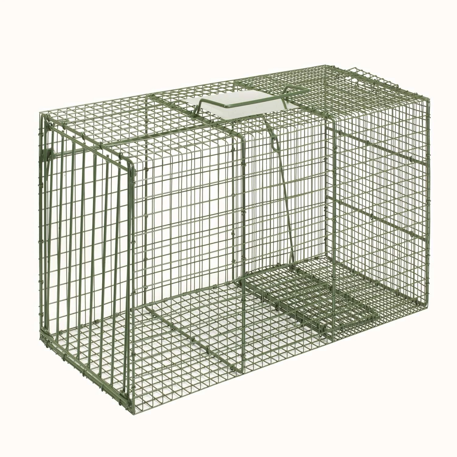 Duke Extra Large Cage Trap For Raccoons 1 Pk 1 Duke Extra Large Cage Trap For Raccoons 1 Pk