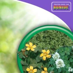 Bonide Chickweed Killer Concentrate 16 Oz -Roundup Hub 8a26b0dd ed01 4f2e 8146 5e1dac78a369
