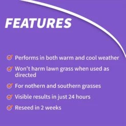 Bonide Weed Beater Weed Killer RTS Hose-End Concentrate 16 Oz -Roundup Hub 8a8d21c2 3416 46fa 88a4 d9671fc68437