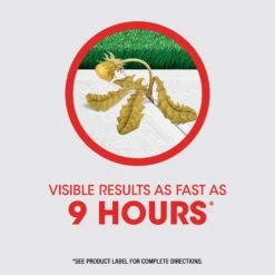 Roundup Weed And Grass Killer Concentrate 36.8 Oz -Roundup Hub 8cee5d86 8efa 44d5 9e16 1c9b182a3643