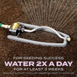 Scotts Turf Builder Perennial Ryegrass Sun Or Shade Fertilizer/Seed/Soil Improver 5.6 Lb -Roundup Hub 8d990281 3833 41c9 b063 0c18c345de25