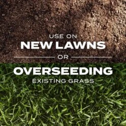 Scotts Turf Builder Rapid Grass Mixed Sun Or Shade Grass Seed And Fertilizer 16 Lb -Roundup Hub 9001968d 5700 444a 9756 c224cb632f45