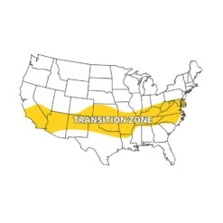 Barenbrug Wonderlawn Tall Fescue Grass Sun Or Shade Grass Seed Blanket -Roundup Hub 900d6e66 2746 41e8 8325 86d18a86cd57