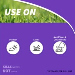 Bonide Chickweed Killer RTU Liquid 128 Oz -Roundup Hub 90c2ebf4 60f0 4093 b898 06a93000b5dc