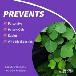 Bonide Brush Beater Brush Killer Concentrate 16 Oz -Roundup Hub 9172da0e 5b20 48c7 a814 b13831ee54cd