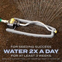 Scotts Turf Builder Heat-Tolerant Blue Sun Or Shade Fertilizer/Seed/Soil Improver 5.6 Lb -Roundup Hub 93f39a3f 1c38 4161 8bc7 d43057a3a09f