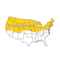 Barenbrug Wonderlawn Mixed Partial Shade/Sun Grass Seed Blanket -Roundup Hub 96e2bf7d 0cf1 437a b116 147ff8c306fd