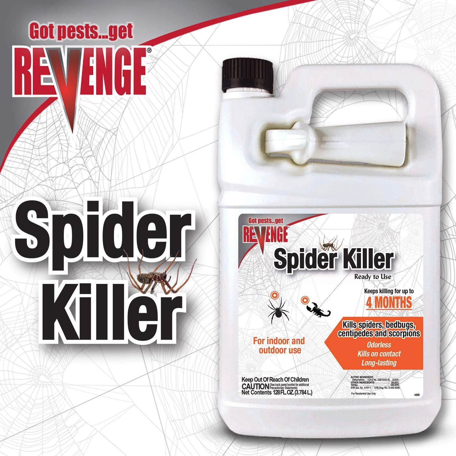 Bonide Spider Insect Killer Liquid 128 Oz 3 Bonide Spider Insect Killer Liquid 128 Oz - Image 3