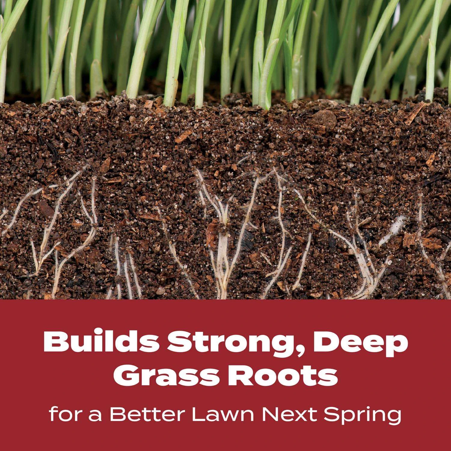 Scotts Turf Builder Fall Lawn Food For Multiple Grass Types 4000 Sq Ft 3 Scotts Turf Builder Fall Lawn Food For Multiple Grass Types 4000 Sq Ft - Image 3