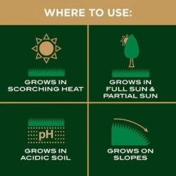 Scotts EZ Seed Centipede Grass Sun Or Shade Grass Spot Repair Seed 10 Lb 17 Scotts EZ Seed Centipede Grass Sun Or Shade Grass Spot Repair Seed 10 Lb -Roundup Hub 97fdb8b7 bf83 4315 9f70 c063fbb17cd4