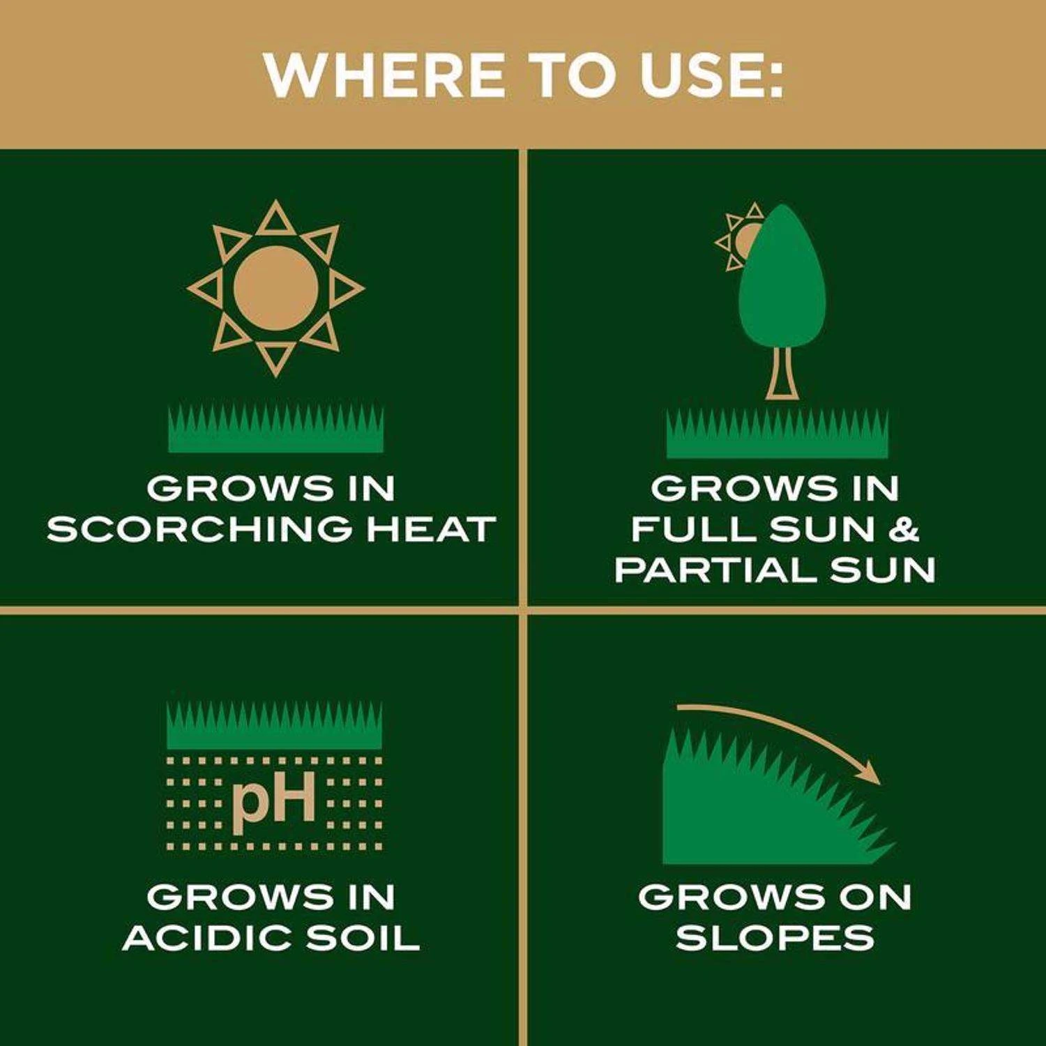 Scotts EZ Seed Centipede Grass Sun Or Shade Grass Spot Repair Seed 10 Lb 8 Scotts EZ Seed Centipede Grass Sun Or Shade Grass Spot Repair Seed 10 Lb - Image 8