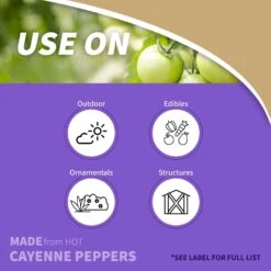 Bonide Hot Pepper Wax Animal Repellent Spray For Most Animal Types 32 Oz 9 Bonide Hot Pepper Wax Animal Repellent Spray For Most Animal Types 32 Oz -Roundup Hub 9aaca5c8 81c9 4111 b30a 393be0a3f880