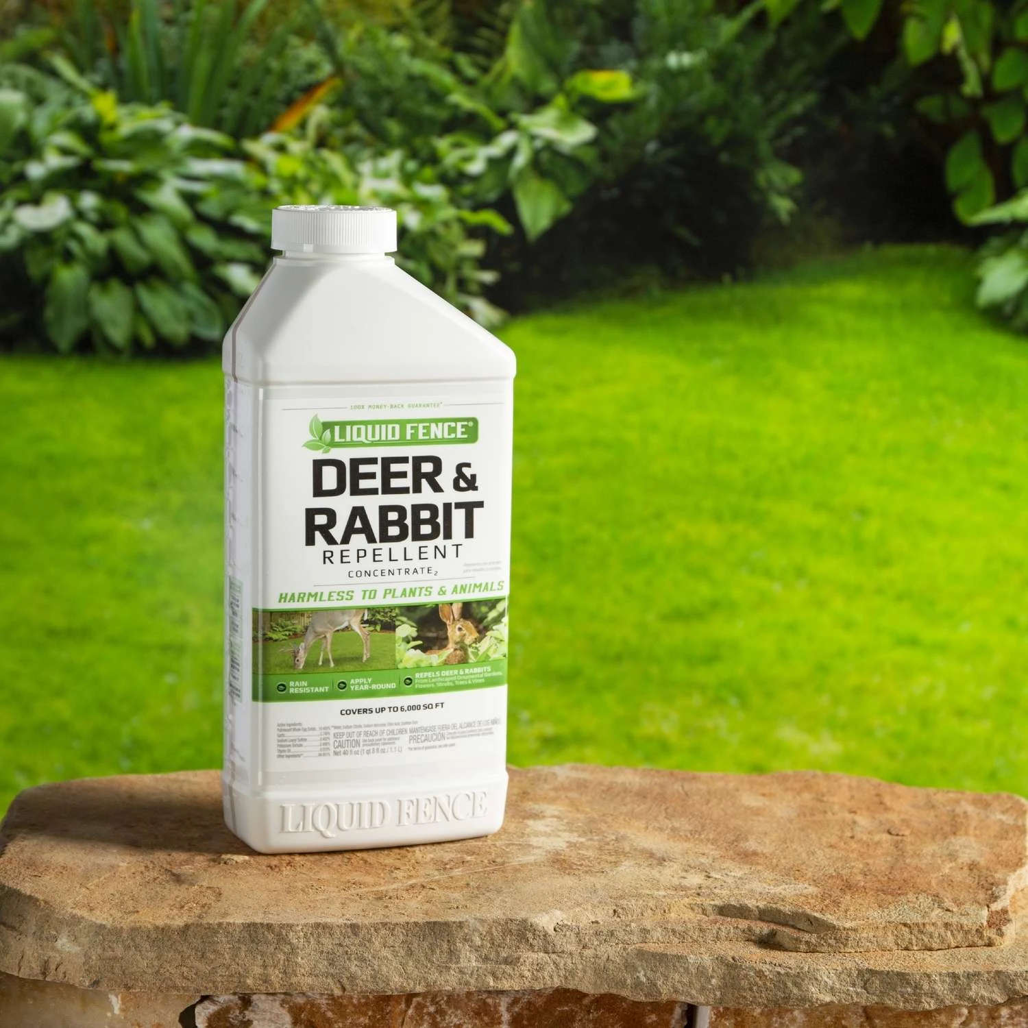 Liquid Fence Animal Repellent Concentrate For Deer And Rabbits 40 Oz 5 Liquid Fence Animal Repellent Concentrate For Deer And Rabbits 40 Oz - Image 5