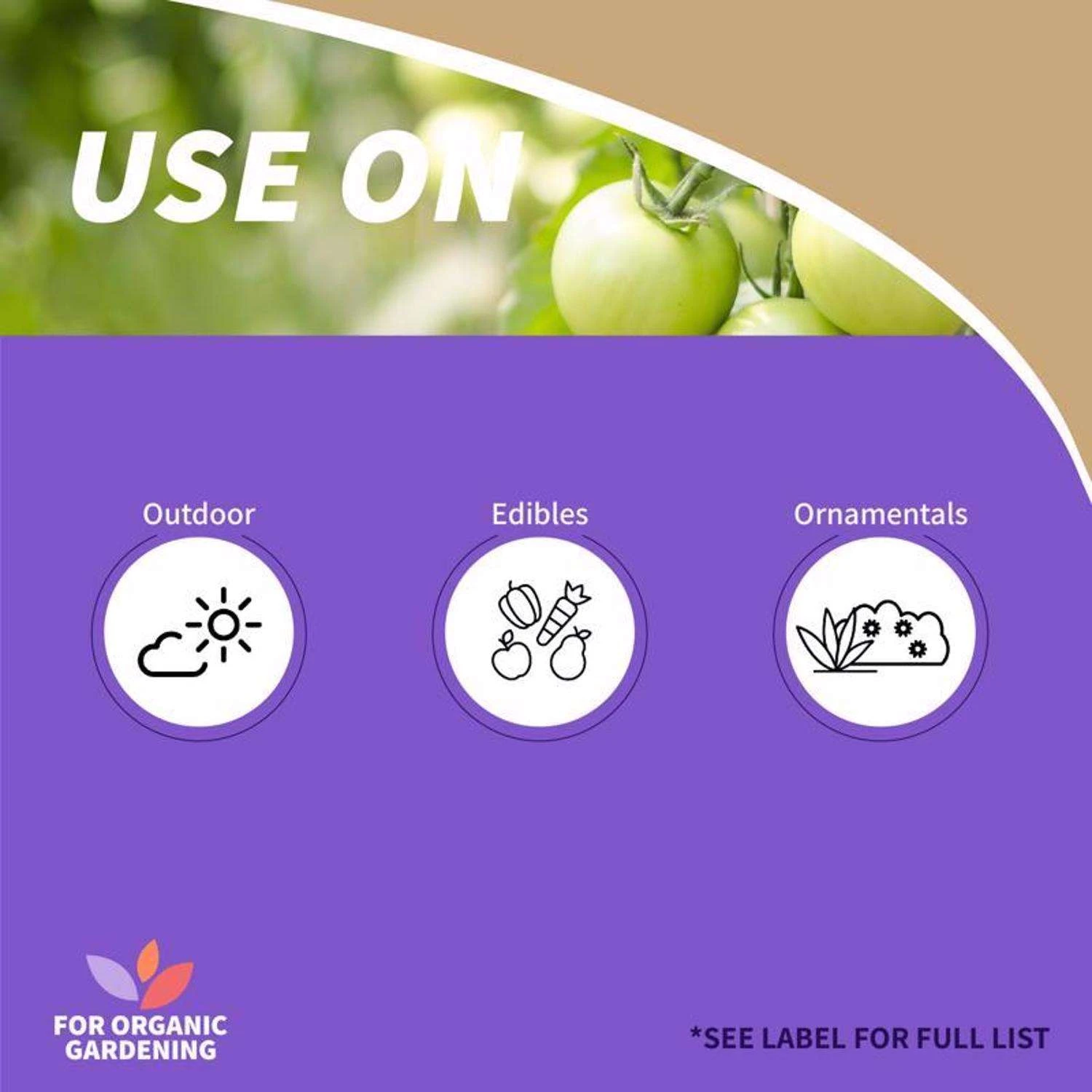 Bonide Captain Jacks Deadbug Brew Organic Insect Killer Dust 4 Lb 4 Bonide Captain Jacks Deadbug Brew Organic Insect Killer Dust 4 Lb - Image 4